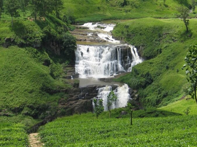 Five fascinating ways to experience a memorable holiday in Sri Lanka