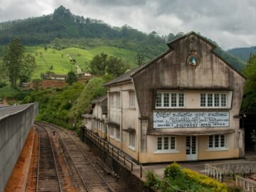 Amazing attractions to enhance your holiday experience in Sri Lanka