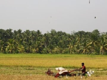 Sri Lanka on brink of food crisis after economic meltdown