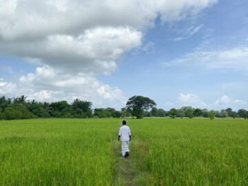 No fuel, no hope: Sri Lankans flee crisis in mass brain drain