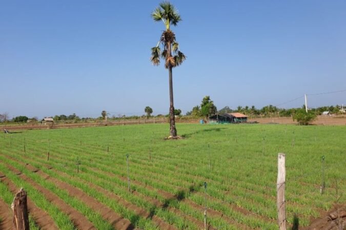 In a world of climate risks, Sri Lanka is finding ways to adapt