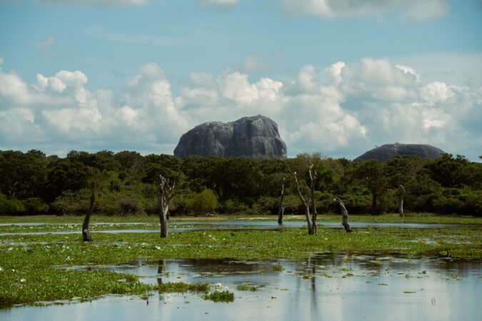 20 years on from the tsunami: How Sri Lanka’s Yala National Park is now thriving